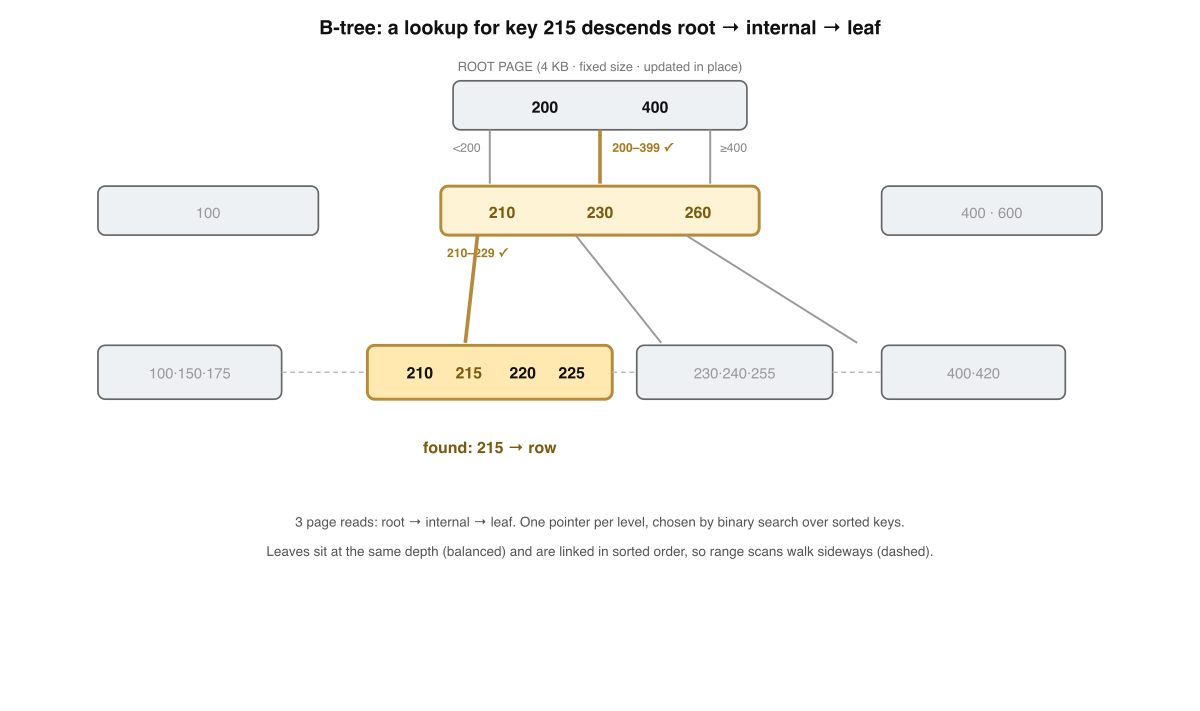A three-level B-tree with the lookup path for key 215 highlighted. The root page splits the key space, internal pages narrow it, and a single leaf page holds the value — three page reads to reach any row.